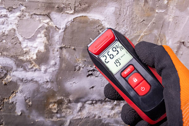 Best Mold Removal Specialists  in Windsor, VA
