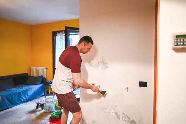 Home Mold Removal in Windsor, VA